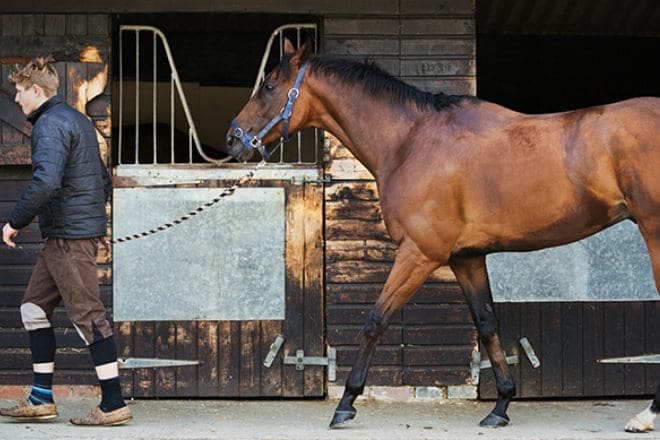 Practical Tips for Choosing the Perfect Name